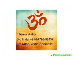 One call change your Life Call astrologer+91-9779392437